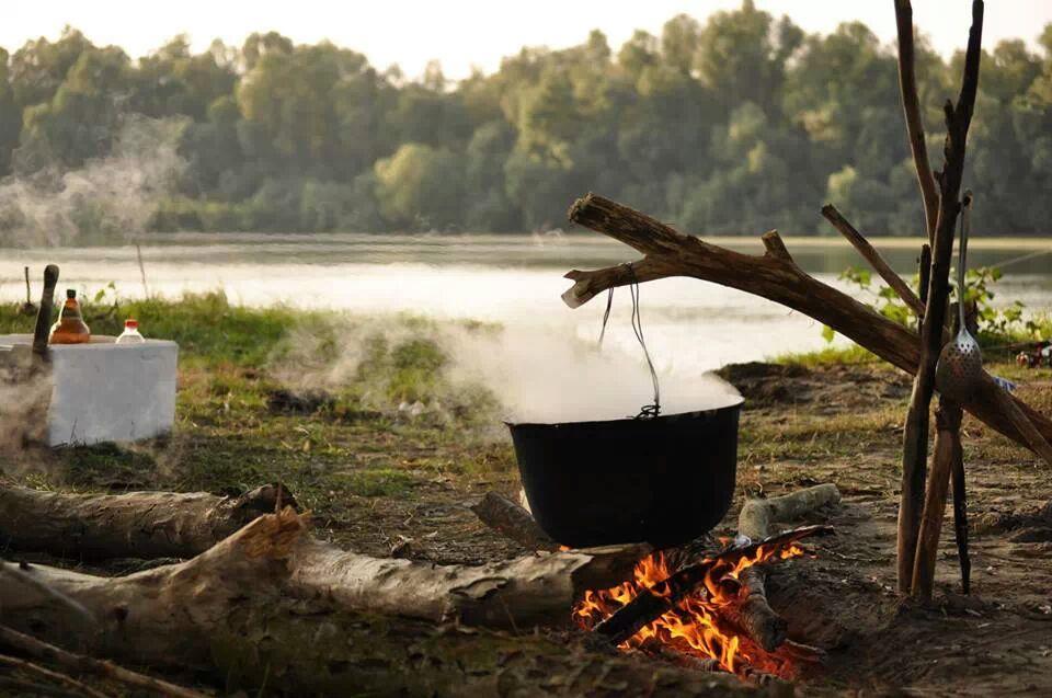 Diverse - img144625831825173.jpeg